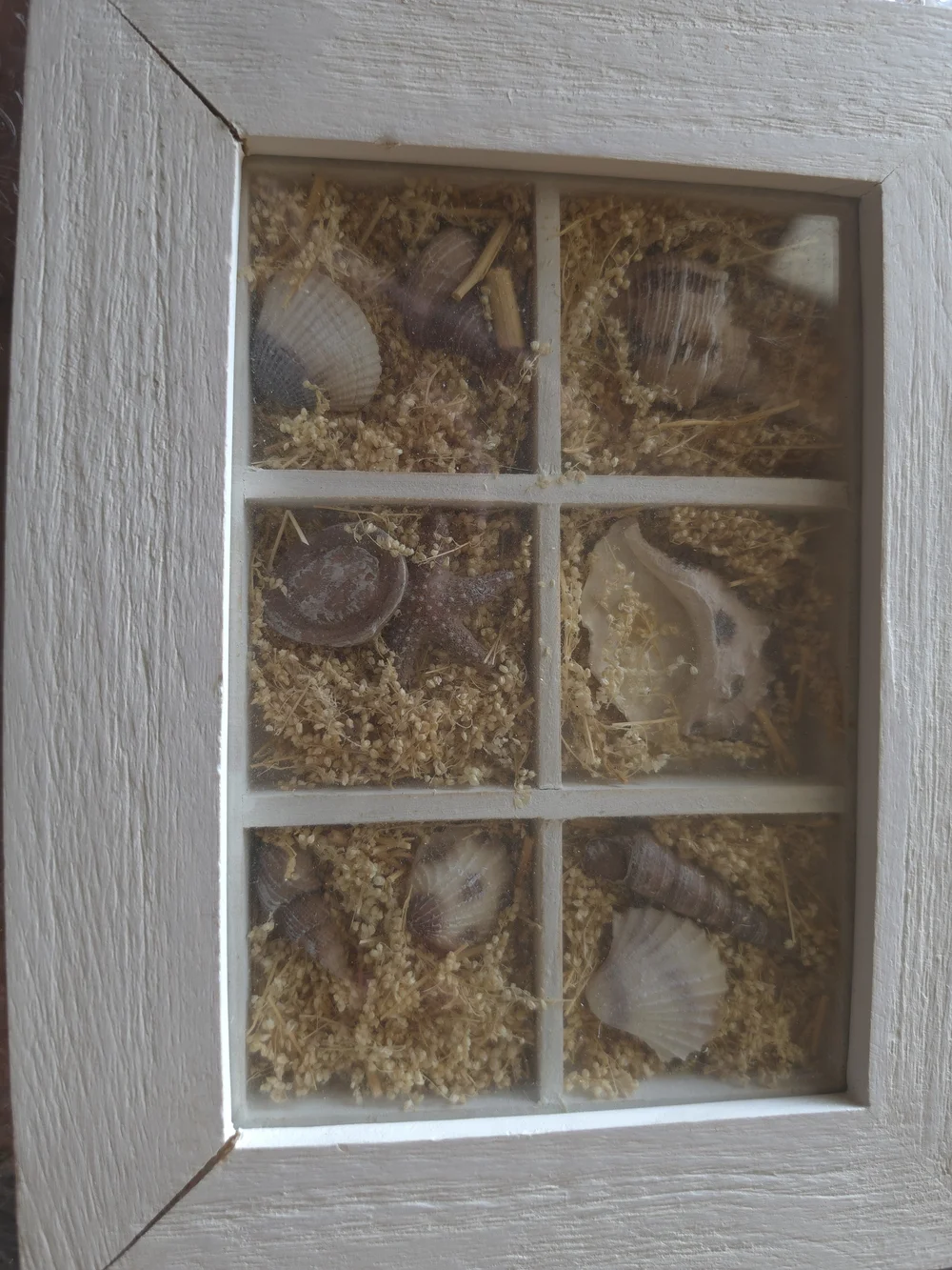 Framed Sea Shells Shadow Box Set-2 Sea Reflections 9x7 Coastal Decor Office